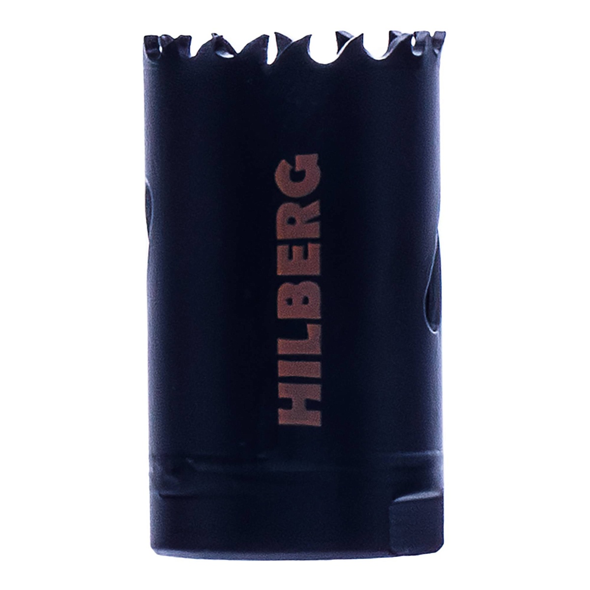 Hilberg CML029 — общий вид
